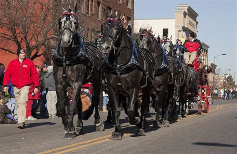 Old-fashioned, but always in style: City trots out its Christmas parade | News, Sports, Jobs ...