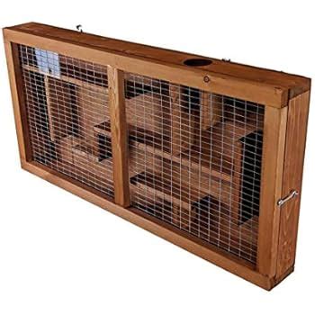 The Hutch Company Squirrel Fun Maze Feeder: Amazon.co.uk: Garden & Outdoors