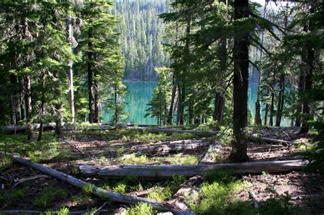 Fawn Lake, South Oregon Cascades - trailsnw.com