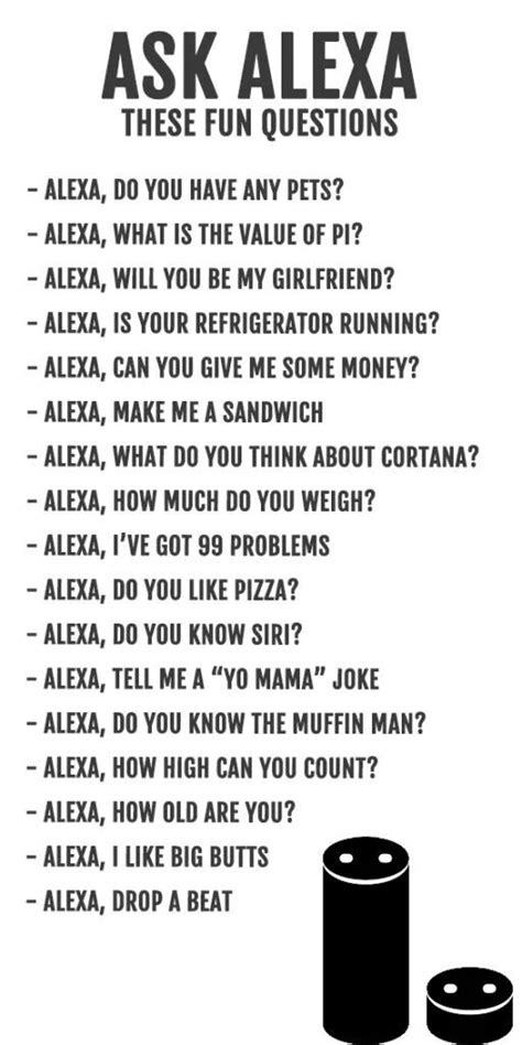 A complete guide on Amazon Alexa's jokes in 2020 | Funny alexa commands ...