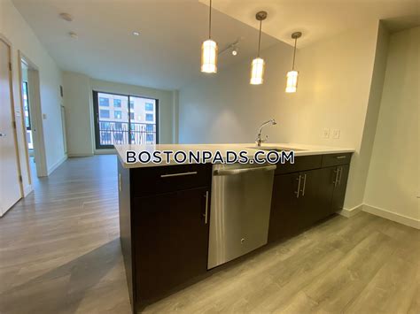 West End Apartment for rent 1 Bedroom 1 Bath Boston - $3,893