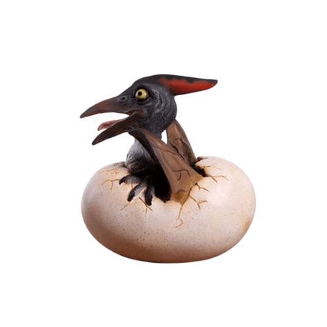 Baby Pteranodon Hatching | Lifesize Models