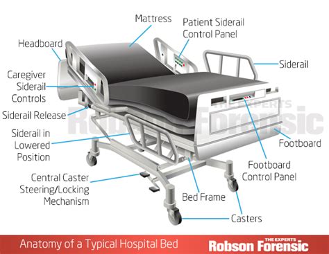 Hospital Bed Positions Names