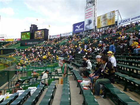 Chaos and Kanji: A Hanshin Tigers Game at Koshien Stadium