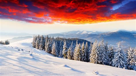 Cold winter, thick snow, sunrise glow, forest, mountains wallpaper | nature and landscape ...