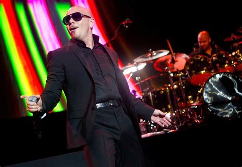 Pitbull Picture 94 - Pitbull Performs in Concert at Crocus City Hall