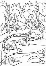 Pond Animals Coloring Page sketch template