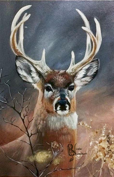 Whitetail Buck by Kuvari.deviantart.com on @DeviantArt | Animal ...