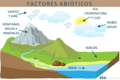 Factores abióticos: qué son, características y ejemplos - Resumen