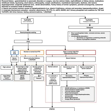 Step-by-step approach to investigation of hyperphosphatemia. ALP ...