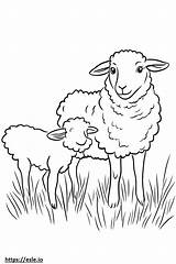 Sheep And lamb coloring Sheet sketch template