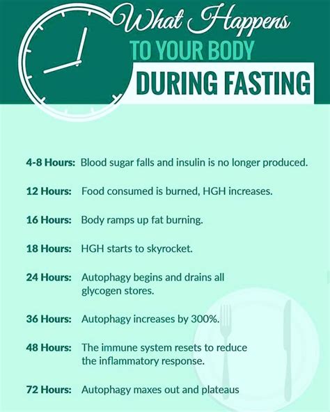 Intermittent Fasting: The Complete Guide You Need