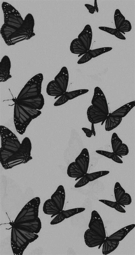 El amanecer y las mariposas Black And White Wallpaper Iphone, Butterfly ...