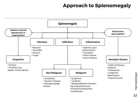 Pathophysiology Of Splenomegaly