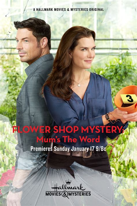 New Hallmark Mystery Movies 2024 February 1 - April Brietta