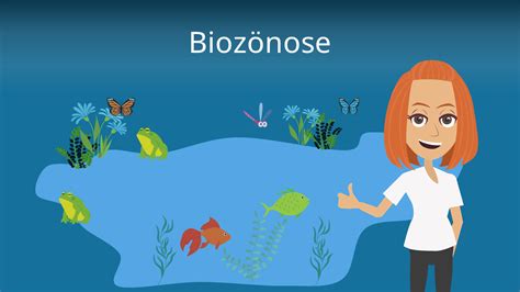 Biozönose • Definiton, Beispiel und Ökologie · [mit Video]