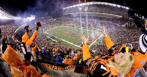 Cincinnati Bengals games: What's new this year? Jungle Zone, new food