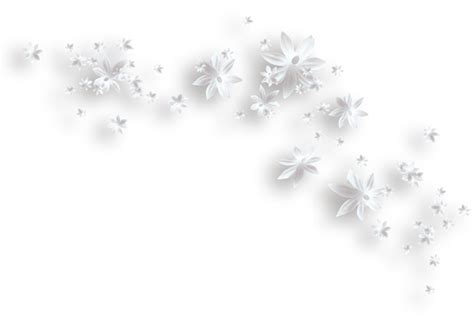 White flower clipart png, White flower png Transparent FREE for ...