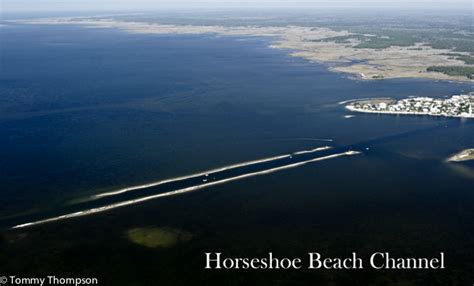 Where’s The Beach?—at Horseshoe Beach! - Visit Natural North Florida