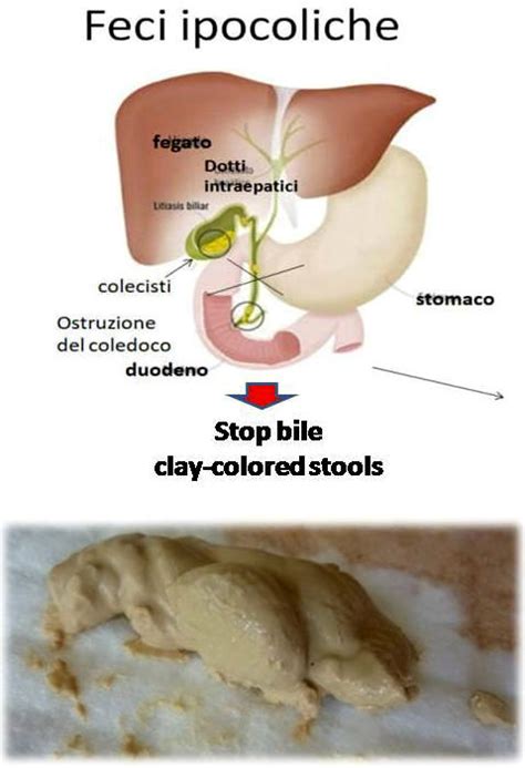 Clay Colored Stool