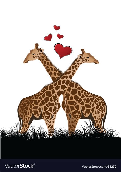 Giraffe love Royalty Free Vector Image - VectorStock