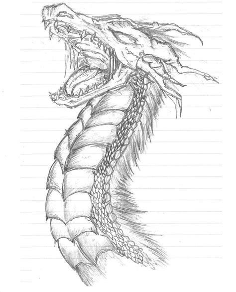 Dragon Sketch 1 by ~EvilCupcake696 on deviantART | Dragon sketch, Dragon drawing, Dragon art