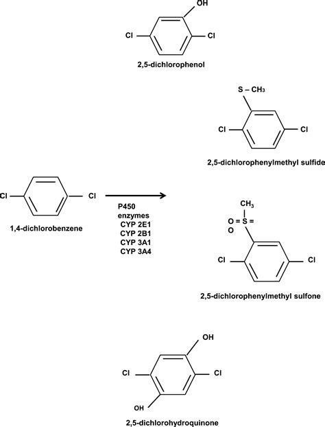 Para-dichlorobenzene toxicity – a review of potential neurotoxic ...