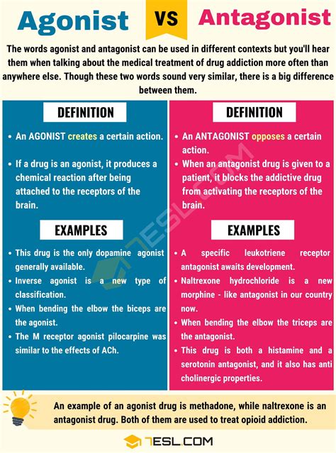 antagonist vs agonist – agonists and antagonists – Mcascidos