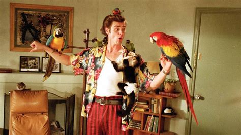 Download Movie Ace Ventura: Pet Detective HD Wallpaper