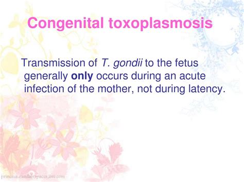 PPT - Toxoplasmosis PowerPoint Presentation, free download - ID:4797160