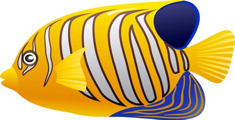 Download Free Png Yellow Fish Png Images Transparent - Yellow Fish Clip Art - Full Size PNG ...