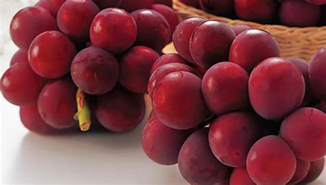 Ruby Roman Grapes - The Ultra Luxury Fruit