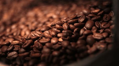 Where are Starbucks Coffee Beans From? - starbmag