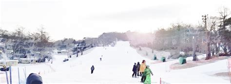 let’s enjoy one-day trips to karuizawa Prince Hotel Ski Resort from S.A ...