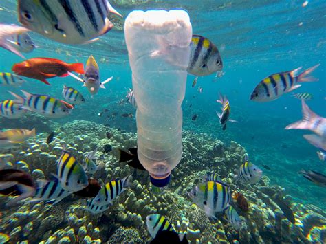 Sampah Plastik Bertebaran di Laut, Teknologi Pirolisis Terus Dikembangkan - Mongabay.co.id