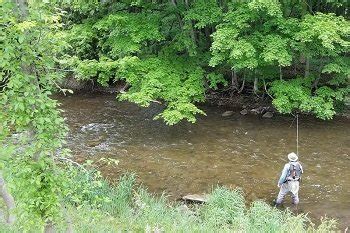 Fly Fishing Nymphs: Productive Ways And Flies To Land Trout