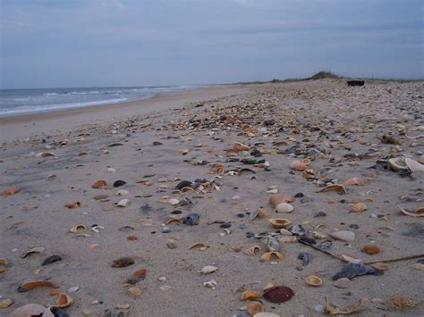 17 Best images about North Carolina Beaches on Pinterest | Beach ...