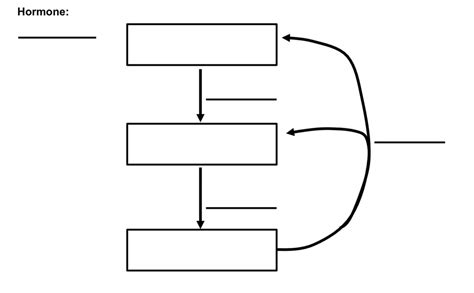 ACTH Hormone Diagram Diagram | Quizlet