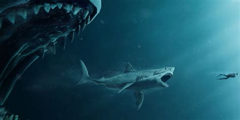 ¿Por qué se extinguió el tiburón Megalodón?