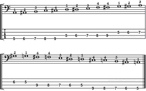 Bass Scales Reference: All Bass Guitar Scales TAB, Notation & Patterns