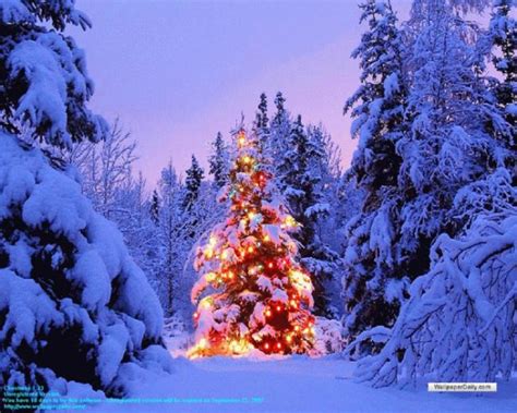 Free download Bing Wallpaper December 24 2009 [958x512] for your ...