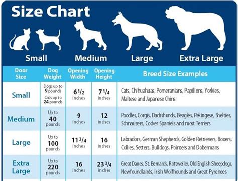 How Much Does It Cost To Groom A Dog