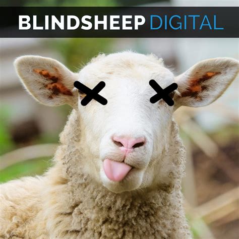 About Blindsheep Digital | Blindsheep Digital