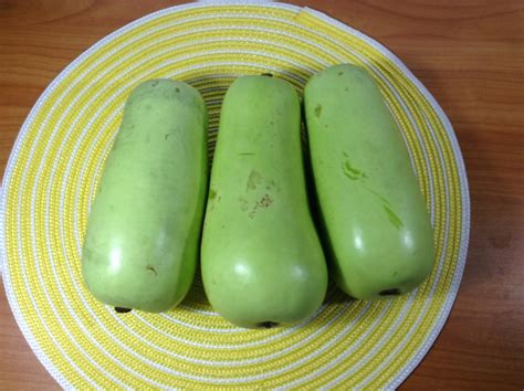 Healthy Food: Health Benefits of Bottle Gourd (Tamil Name : சுரைக்காய்)