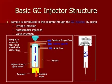 Gc basic pdf