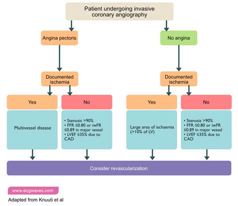 Stable Coronary Artery Disease Treatment - PELAJARAN