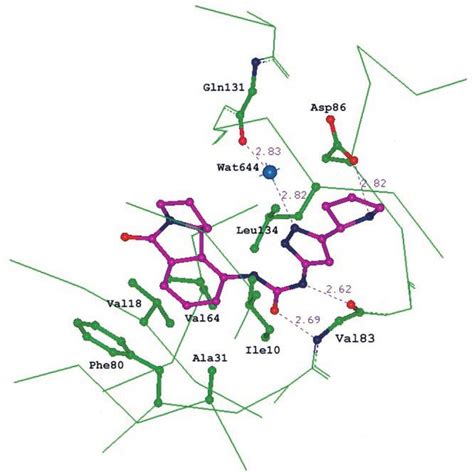 Schematic drawing of CDK2 with the inhibitor compound I in the ATP... | Download Scientific Diagram