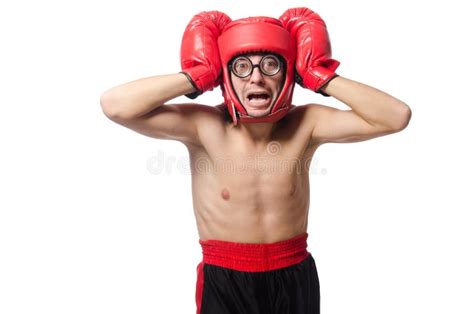 Funny boxer stock photo. Image of glove, fight, athlete - 51094832