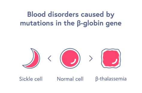 Hemoglobinopathies | CRISPR Therapeutics