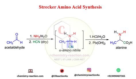 Strecker Reaction :Synthesis of Amino Acids| Mechanism